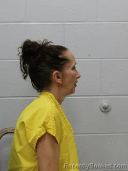 Mugshot of ELAINA J KAYS