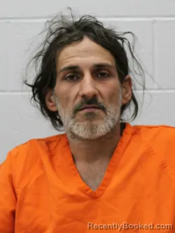 Booking photo from Franklin County, Illinois