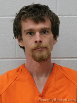 Booking photo from Franklin County, Illinois