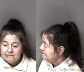 Mugshot of Twila Dawn Ledbetter