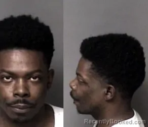 Mugshot of Lanard Mandel Jefferies