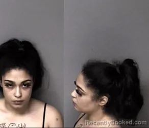 Mugshot of Briana Nicole Allman