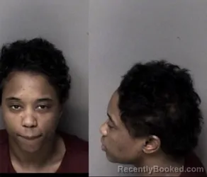 Mugshot of Laurie Ann Wilson