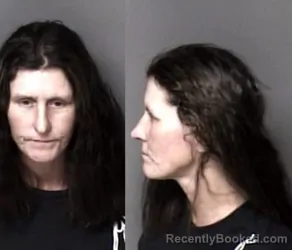 Mugshot of Stephanie Danielle Bostic