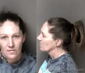 Mugshot of Deana Rechelle Wilson