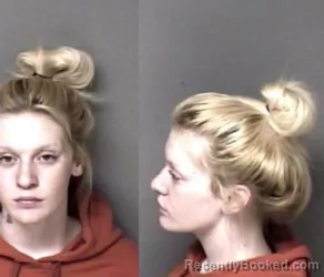 Mugshot of Danielle Summer Reynolds