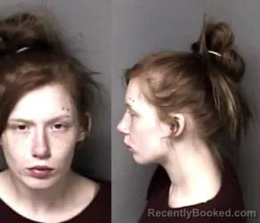 Mugshot of Kelly Elizabeth Sullivan
