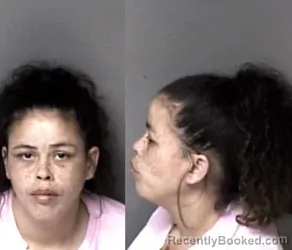 Mugshot of Amber Renee Ayers