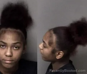 Mugshot of Taurianna Dequala Brooks