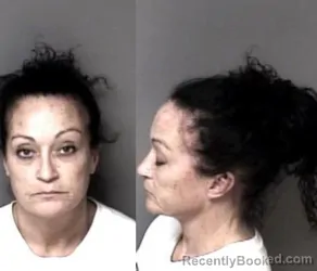 Mugshot of Misty Teaster Bryson