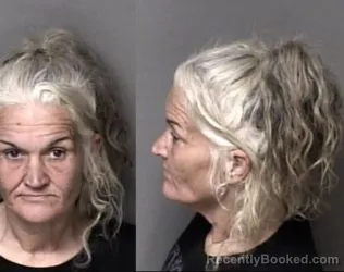 Mugshot of Sherri Lea Dobbins-Wilson