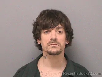 Mugshot of MICHAEL CURTIS MILLS