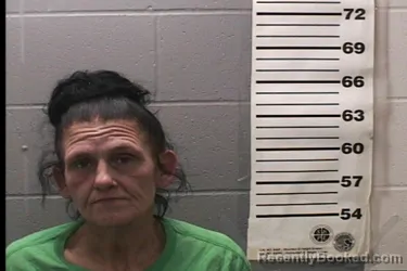 Mugshot of TERESA REYNOLDS