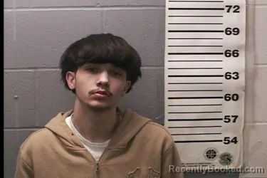 Mugshot of LUCAS ROBERTS