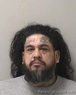 Mugshot of DANIEL A MAYORGA