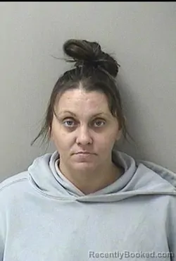 Mugshot of DANA M PEDERSON