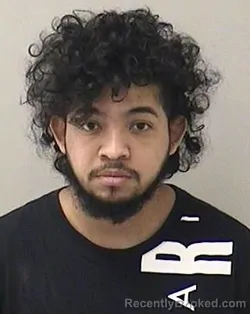 Mugshot of JORDY Y OLEA-DELGADO