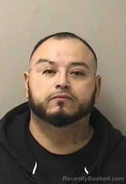 Mugshot of JESUS M PINEIRA