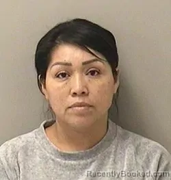 Mugshot of ESTELA SANCHEZ-MENDEZ