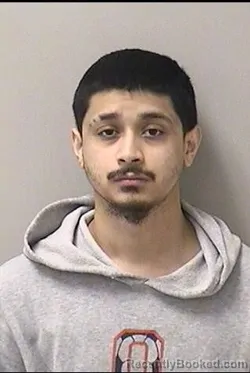 Mugshot of JOHAN A VERGARA