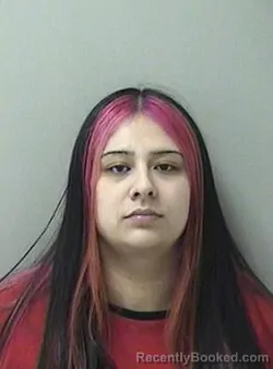 Mugshot of LESLIE LUNA