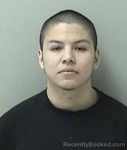Mugshot of JULIO PEREZ