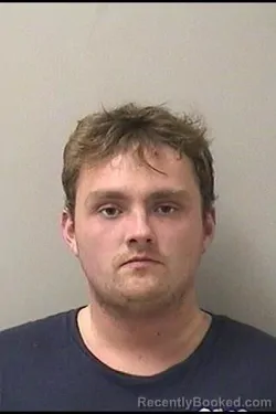 Mugshot of DAVID V GHEORGHE