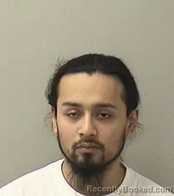 Booking photo from Kane County, Illinois