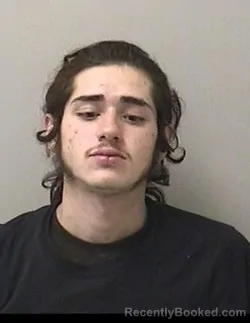 Mugshot of MATTHEW JOSE CASTELLANOS