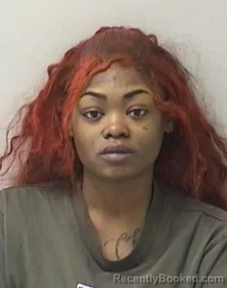Mugshot of CHINETTA T BENNETT