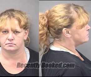 Mugshot of Jenny Lynn Servies