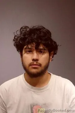 Mugshot of ELIAN JESUS LOZANO