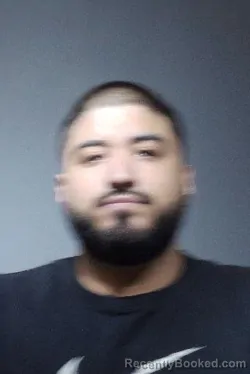 Booking photo from Kendall County, Illinois