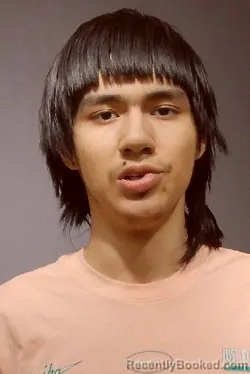 Mugshot of DAMIAN ANTONIO GONZALEZ