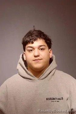 Booking photo from Kendall County, Illinois