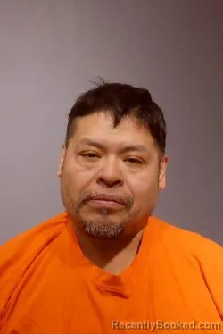 Booking photo from Kendall County, Illinois