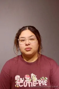 Booking photo from Kendall County, Illinois