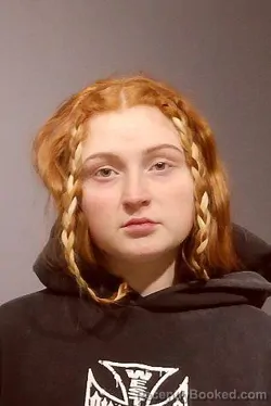 Booking photo from Kendall County, Illinois