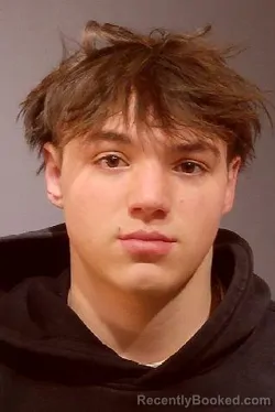 Mugshot of RYDER CHASE HOSPES