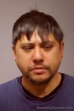 Mugshot of JOURNEY CHAREUN