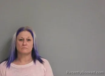 Mugshot of SHANON ERICA FRIDDLE