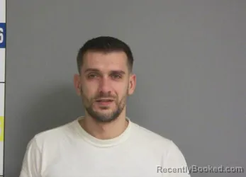 Mugshot of RYAN MATTHEW MEGLAN