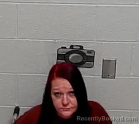 Mugshot of HEATHER A BILLS