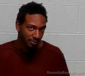 Mugshot of ROBERT MITCHELL