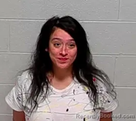 Booking photo from Lake County, Illinois