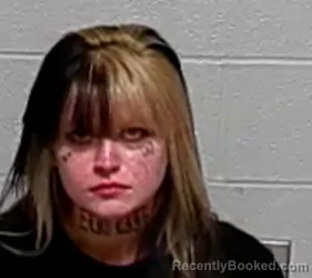Mugshot of SADIE DZIEKANSKI