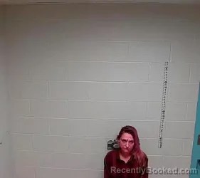 Booking photo from Lake County, Illinois