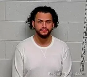 Mugshot of HECTOR D GARCIA