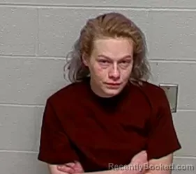 Booking photo from Lake County, Illinois