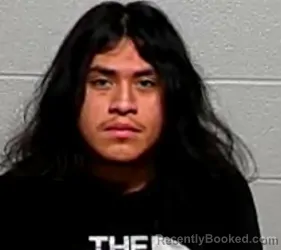 Mugshot of JULIAN NAVA